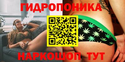 гашик Уссурийск