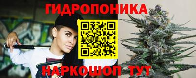 прущие крисы Усть-Илимск